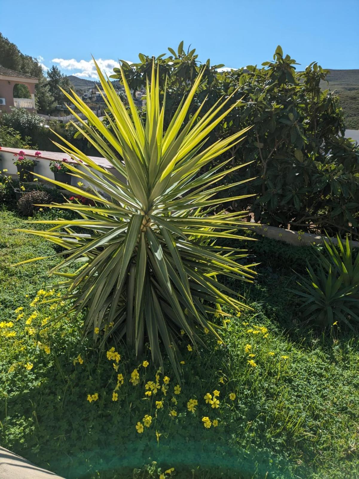 Vila Buen Estar, Piscina, Barbacoa, Jacuzzi En Valencia Turís Exteriér fotografie