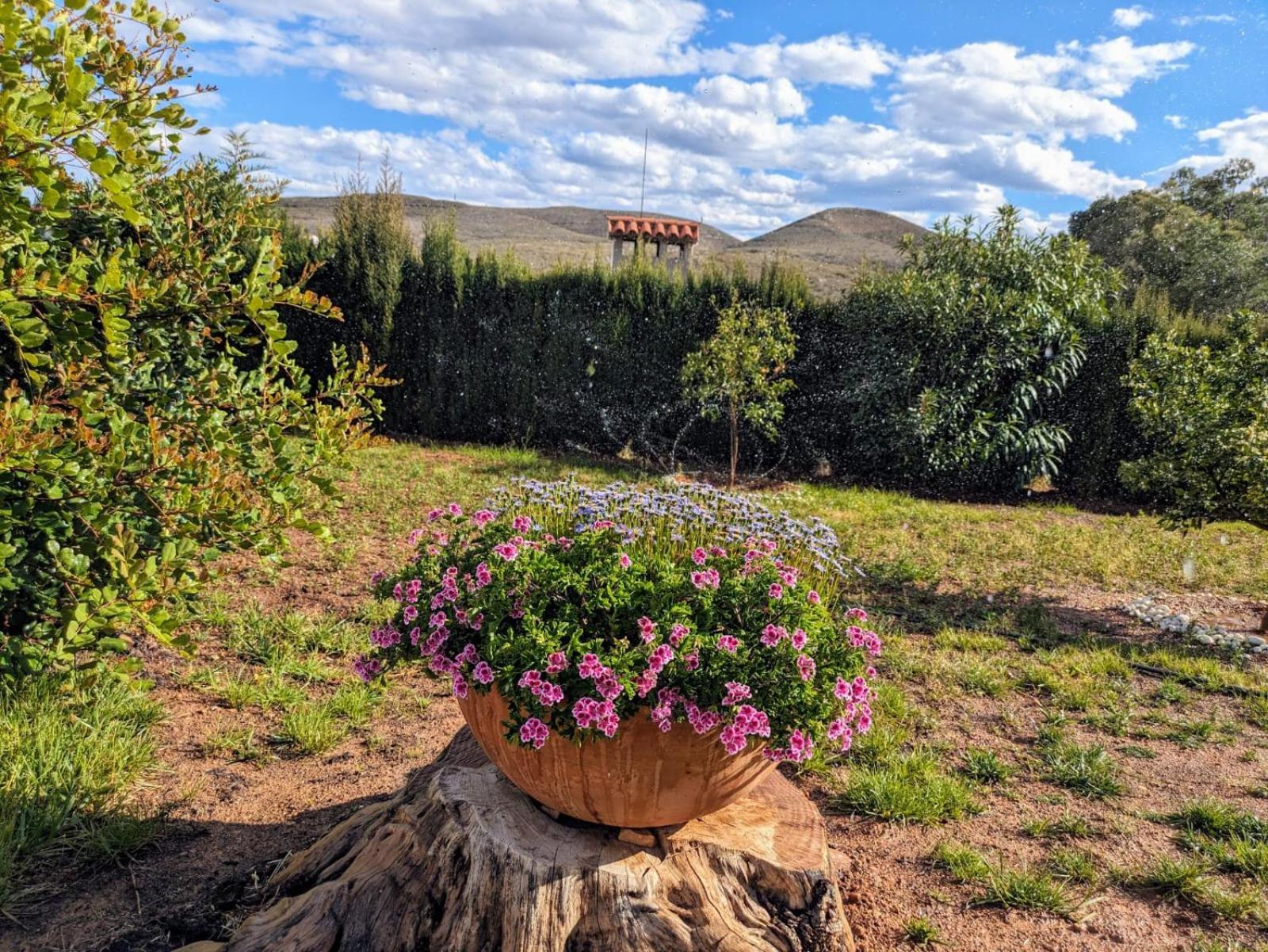 Vila Buen Estar, Piscina, Barbacoa, Jacuzzi En Valencia Turís Exteriér fotografie
